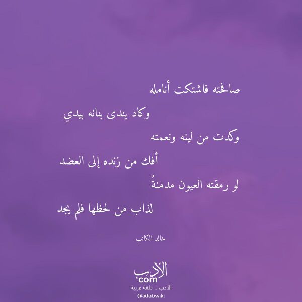 اقتباس من قصيدة صافحته فاشتكت أنامله لـ خالد الكاتب