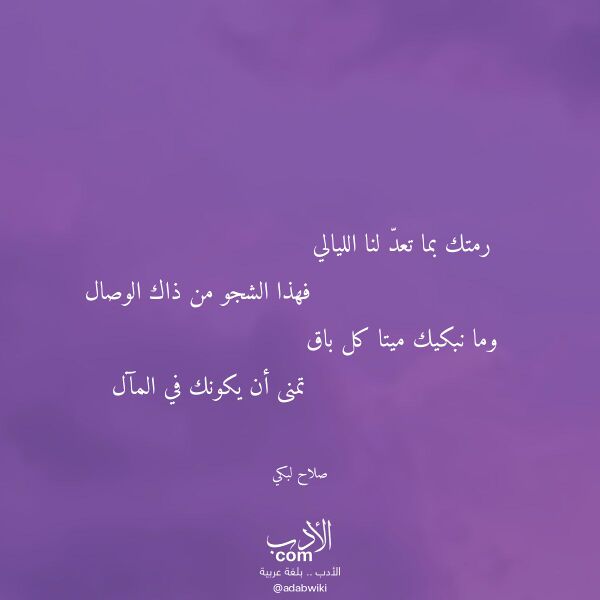 اقتباس من قصيدة رمتك بما تعد لنا الليالي لـ صلاح لبكي