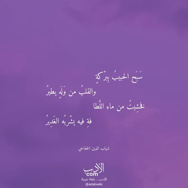 اقتباس من قصيدة سبح الحبيب ببركة لـ شهاب الدين الخفاجي