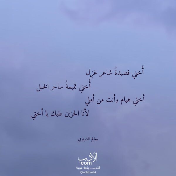 اقتباس من قصيدة أختي قصيدة شاعر غزل لـ صالح الشرنوبي
