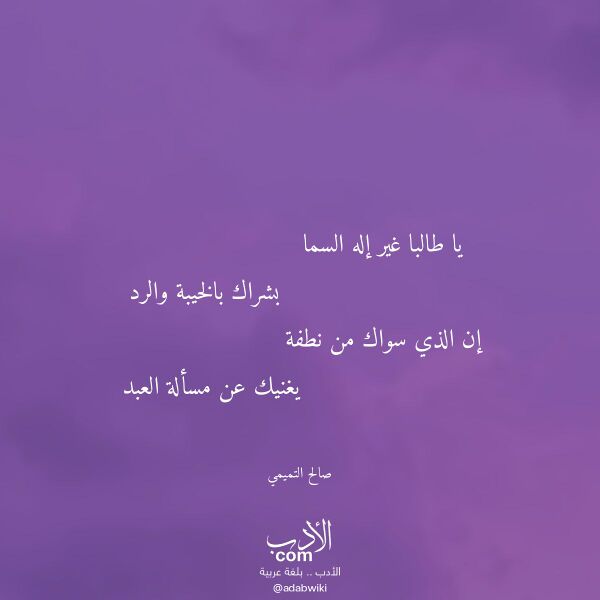 اقتباس من قصيدة يا طالبا غير إله السما لـ صالح التميمي
