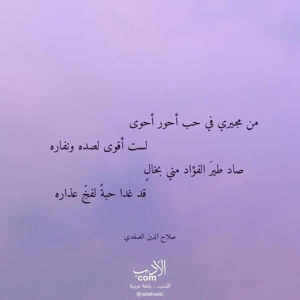 اقتباس من قصيدة من مجيري في حب أحور أحوى لـ صلاح الدين الصفدي
