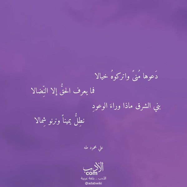 اقتباس من قصيدة دعوها منى واتركوه خيالا لـ علي محمود طه اقتباس من قصيدة دعوها منى واتركوه خيالا لـ علي محمود طه
