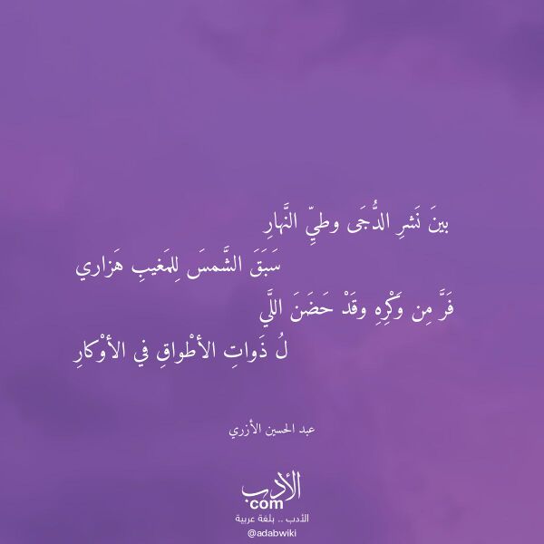 اقتباس من قصيدة بين نشر الدجى وطي النهار لـ عبد الحسين الأزري