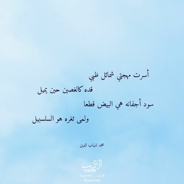 اقتباس من قصيدة أسرت مهجتي شمائل ظبي لـ محمد شهاب الدين