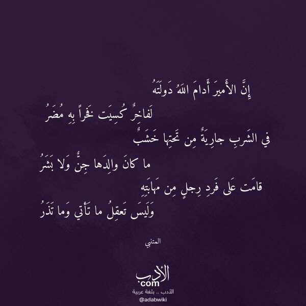 اقتباس من قصيدة إن الأمير أدام الله دولته لـ المتنبي
