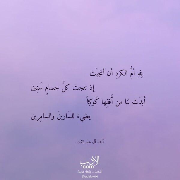 اقتباس من قصيدة لله أم الكرد أن أنجبت لـ أحمد آل عبد القادر اقتباس من قصيدة لله أم الكرد أن أنجبت لـ أحمد آل عبد القادر