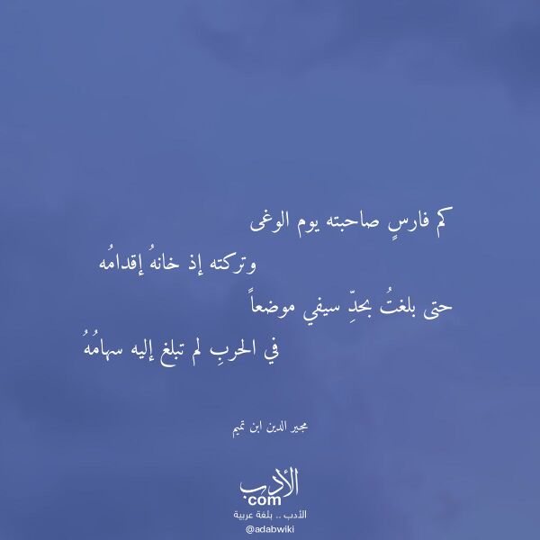 اقتباس من قصيدة كم فارس صاحبته يوم الوغى لـ مجير الدين ابن تميم