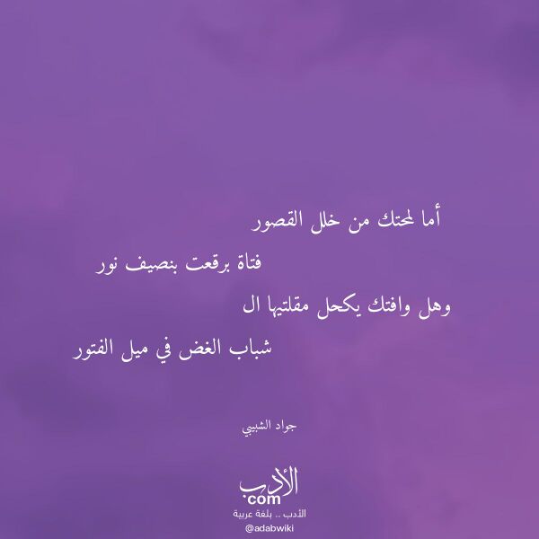 اقتباس من قصيدة أما لمحتك من خلل القصور لـ جواد الشبيبي اقتباس من قصيدة أما لمحتك من خلل القصور لـ جواد الشبيبي