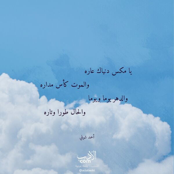 اقتباس من قصيدة يا مكس دنياك عاره لـ أحمد شوقي