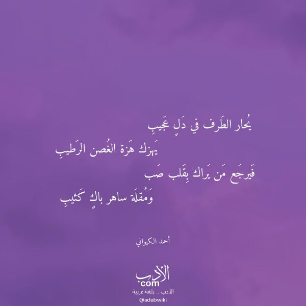 اقتباس من قصيدة يحار الطرف في دل عجيب لـ أحمد الكيواني