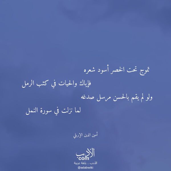 اقتباس من قصيدة تموج تحت الخصر أسود شعره لـ أمين الدين الإربلي اقتباس من قصيدة تموج تحت الخصر أسود شعره لـ أمين الدين الإربلي