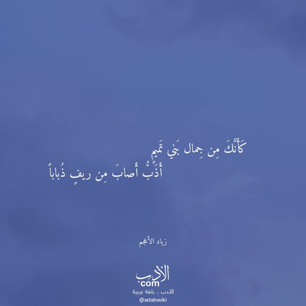 اقتباس من قصيدة كأنك من جمال بني تميم لـ زياد الأعجم