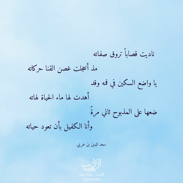 اقتباس من قصيدة ناديت قصابا تروق صفاته لـ سعد الدين بن عربي