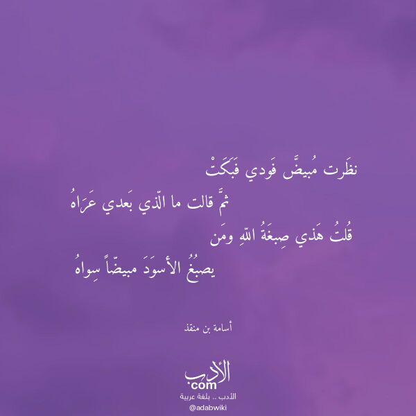 اقتباس من قصيدة نظرت مبيض فودي فبكت لـ أسامة بن منقذ