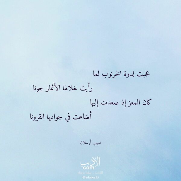 اقتباس من قصيدة عجبت لدوة الخرنوب لما لـ نسيب أرسلان