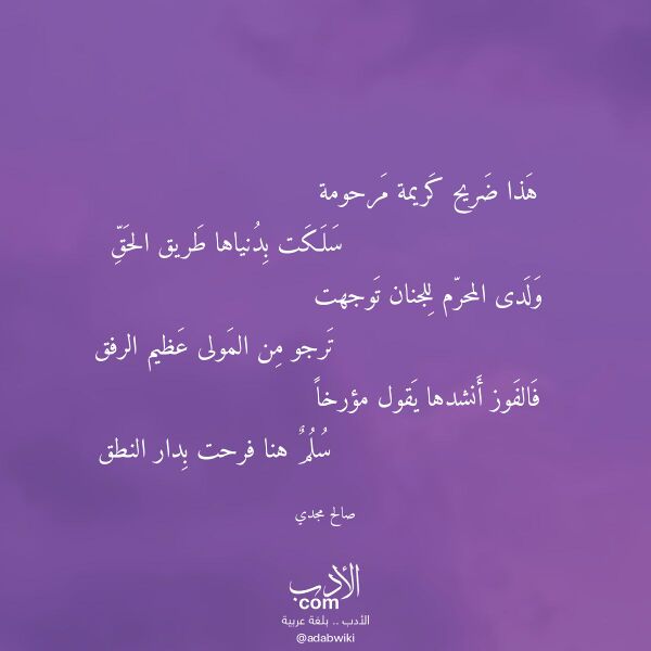 اقتباس من قصيدة هذا ضريح كريمة مرحومة لـ صالح مجدي