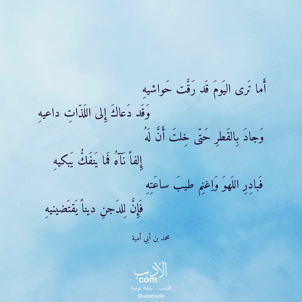 اقتباس من قصيدة أما ترى اليوم قد رقت حواشيه لـ محمد بن أبي أمية
