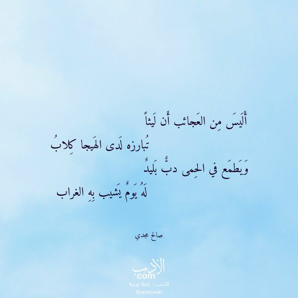 اقتباس من قصيدة أليس من العجائب أن ليثا لـ صالح مجدي اقتباس من قصيدة أليس من العجائب أن ليثا لـ صالح مجدي