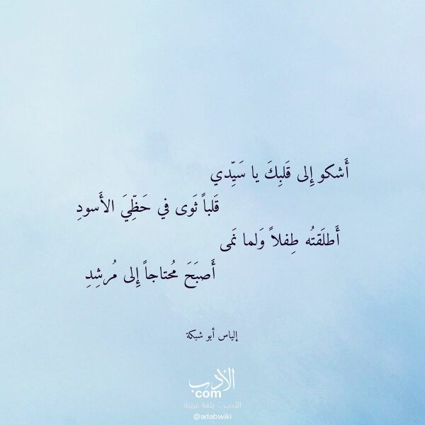 اقتباس من قصيدة أشكو إلى قلبك يا سيدي لـ إلياس أبو شبكة