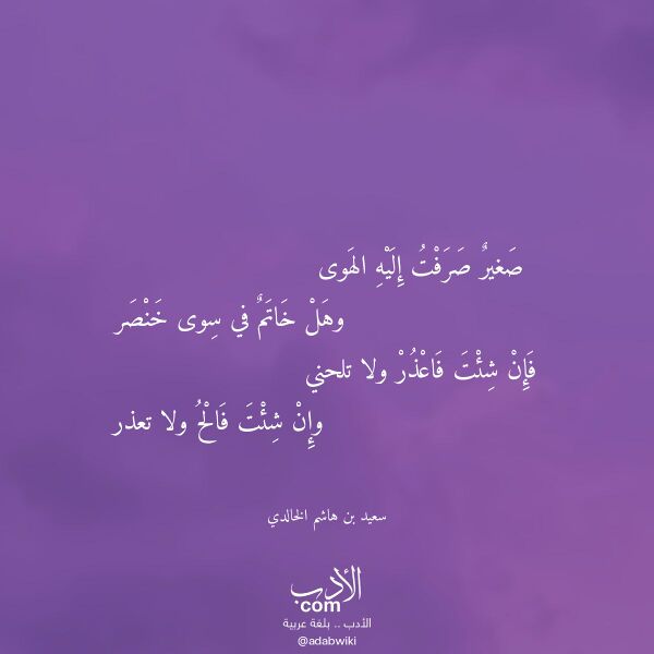 اقتباس من قصيدة صغير صرفت إليه الهوى لـ سعيد بن هاشم الخالدي