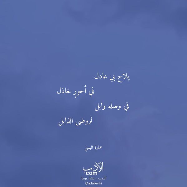 اقتباس من قصيدة يلاح بي عادل لـ عمارة اليمني