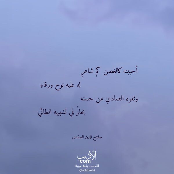 اقتباس من قصيدة أحببته كالغصن كم شاعر لـ صلاح الدين الصفدي