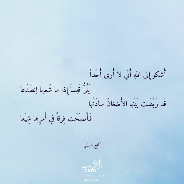 اقتباس من قصيدة أشكو إلى الله أني لا أرى أحدا لـ أشجع السلمي اقتباس من قصيدة أشكو إلى الله أني لا أرى أحدا لـ أشجع السلمي